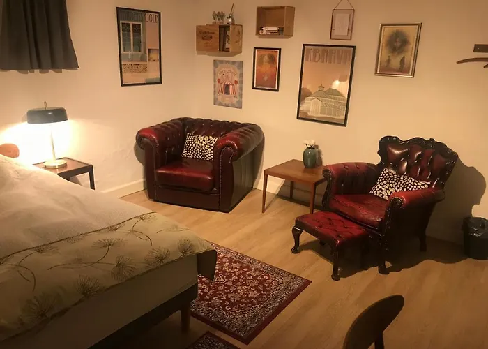 Comfortable Large Room King S Bed Near Cph Centre Copenhagen